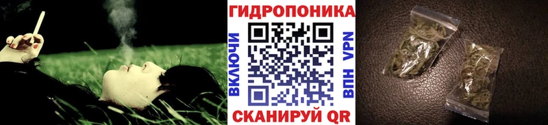 Конопля SATIVA & INDICA  Чаплыгин 